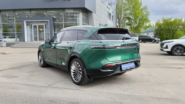 Купить Воя Фри 2022г.