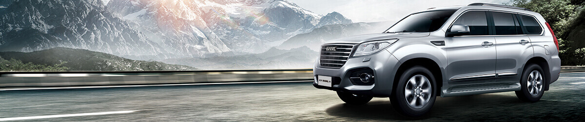 Haval City H9
